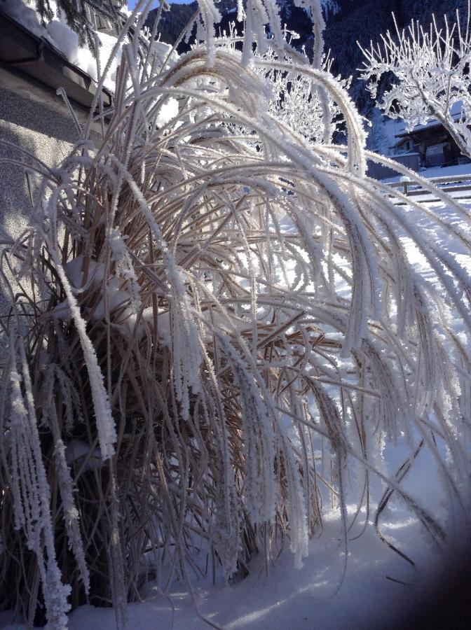 مايرهوفن Appartement Schneeflockchen المظهر الخارجي الصورة